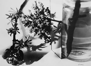 Nature morte, 1931
Stampa successiva all