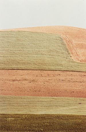 Paesaggio, 1975-1978
Stampa vintage crom