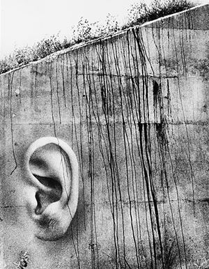 Why don&#39;t you say it?, 1974
Stampa vinta