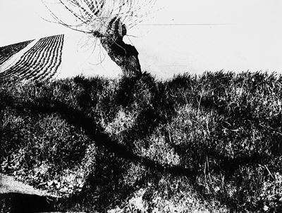 Paesaggio, Anni 1980 Stampa Vintage alla