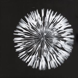 Soffione, 2012
Stampa digitale
cm 42 x 4