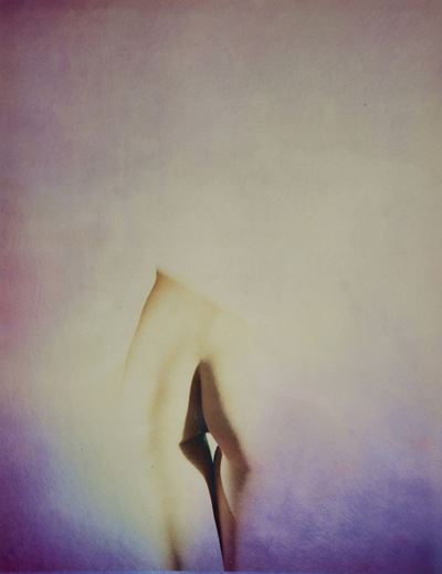 Nude, 2018 Photo Metallic Chrome, da Pol