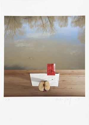 Composizione_38 (Mela, tavolo, assorbent