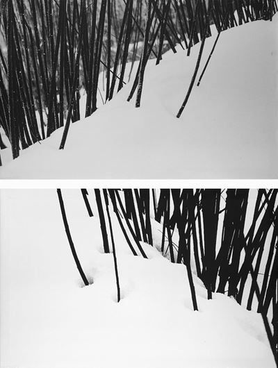 Snow, nr 50 - 51, Due stampe digitali su tela, 2003
