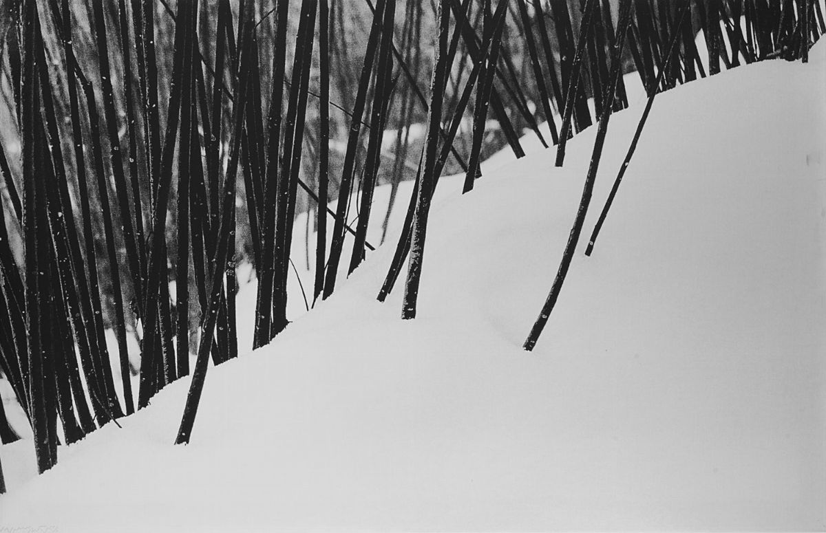 Abbas Kiarostami - Snow, nr 50 - 51, Due stampe digitali su tela, 2003