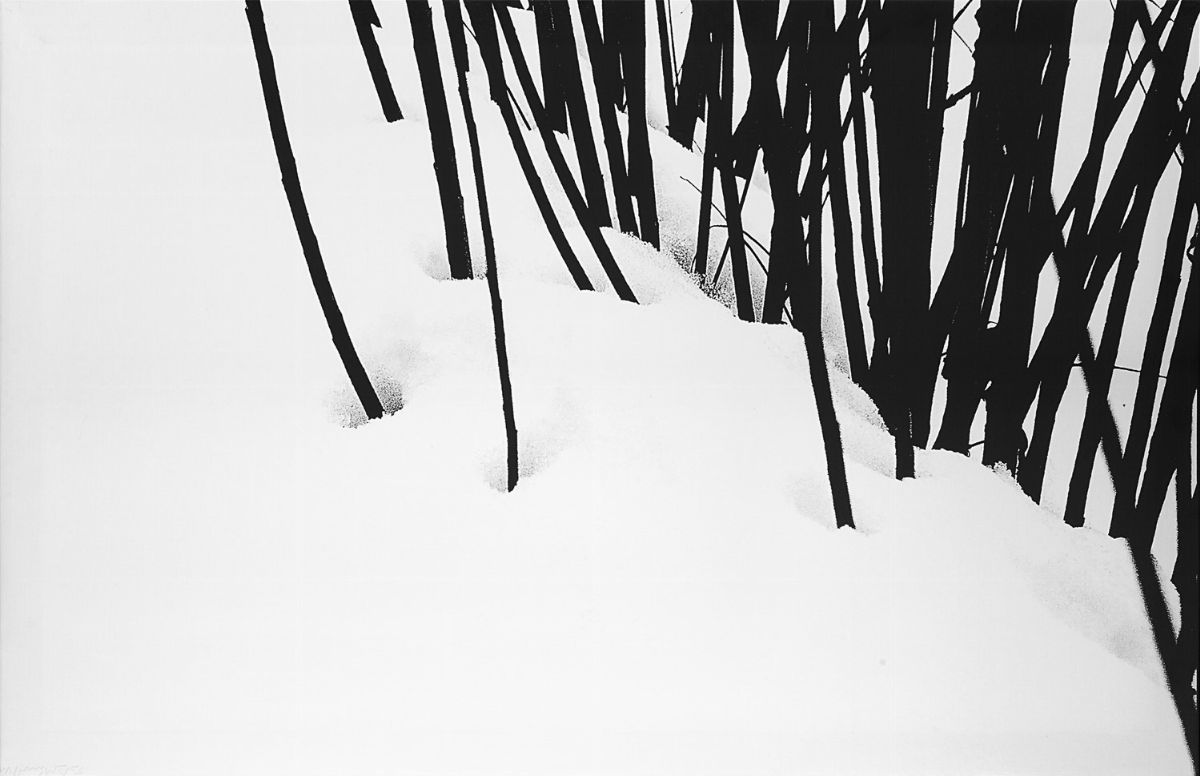 Abbas Kiarostami - Snow, nr 50 - 51, Due stampe digitali su tela, 2003