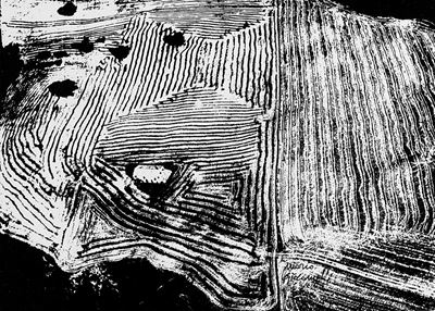 Presa di Coscienza sulla Natura, 1975/19