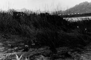 Presenze, 1993
Stampa vintage alla gelat