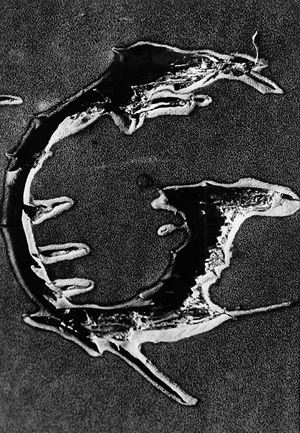 Composizione astratta, Chimigramma, anni