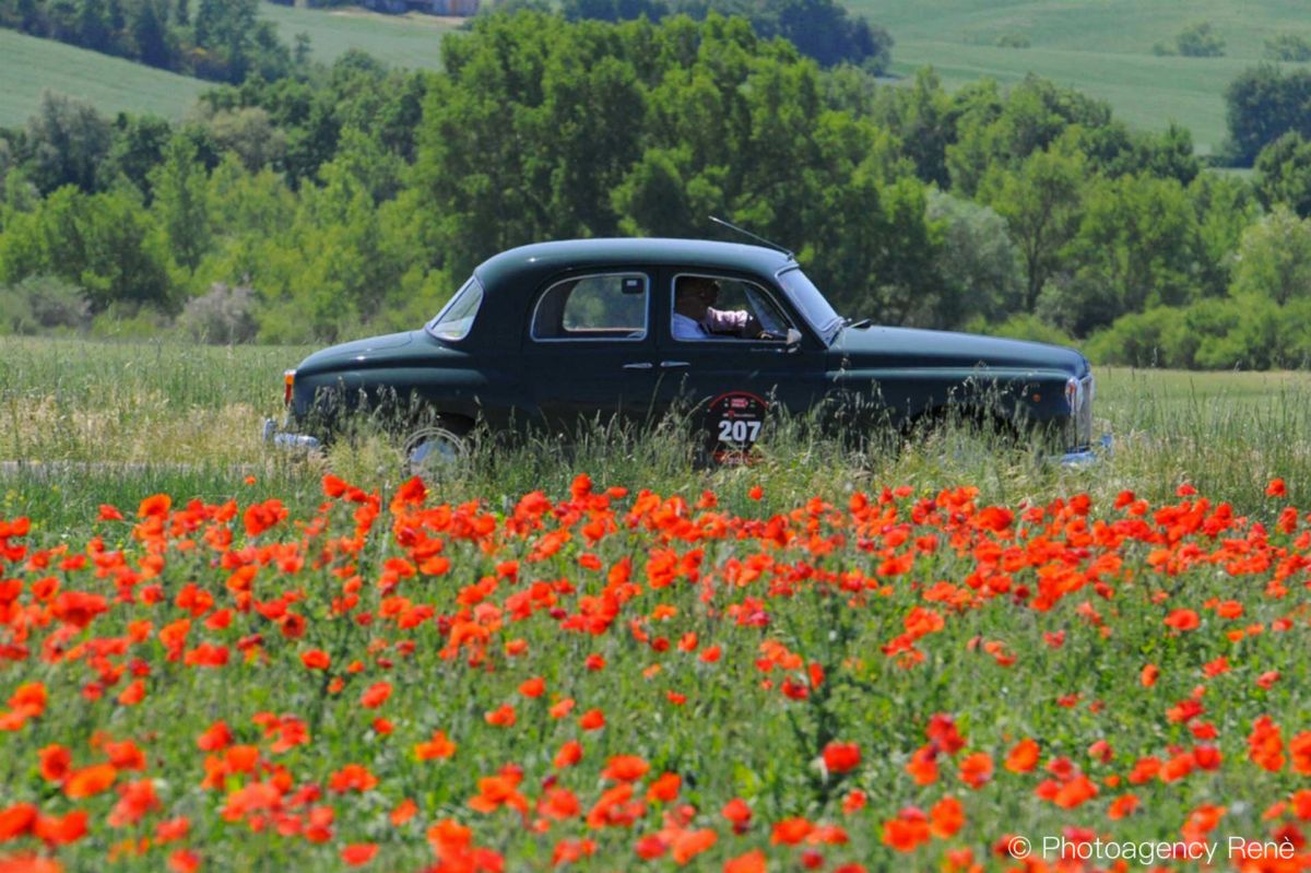 Rover - Modello 75 del 1955