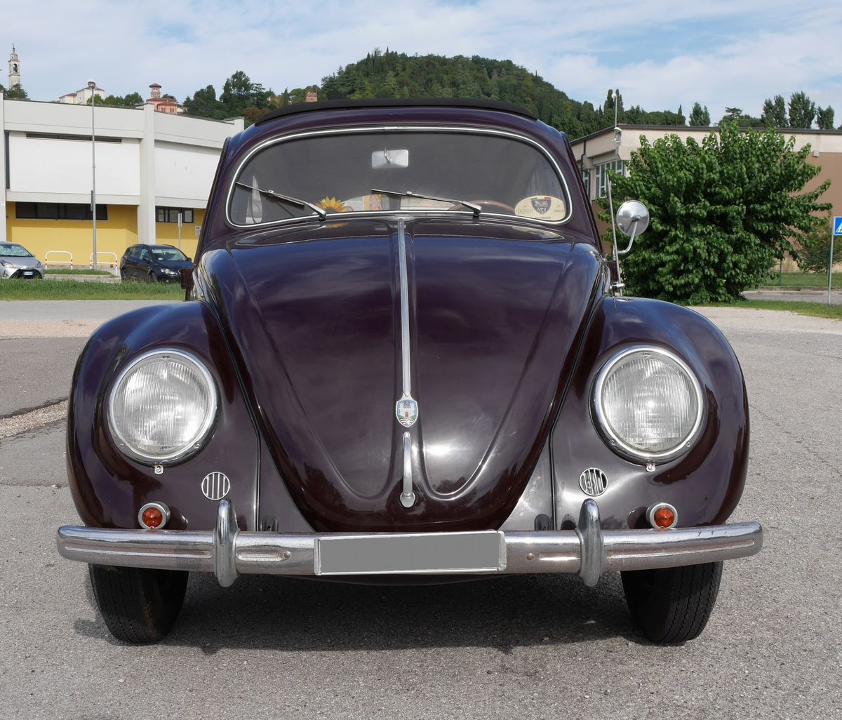 Volkswagen - (typ 1)