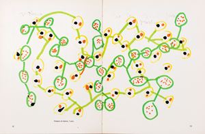 Bruno Munari - Il laboratorio per bambini a Faenza al museo Internazionale delle Ceramiche