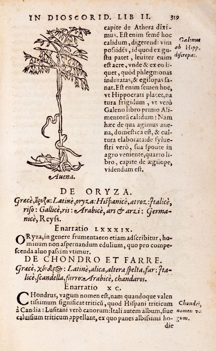 In Dioscoridis Anazarbei de Medica Materia libros quinque