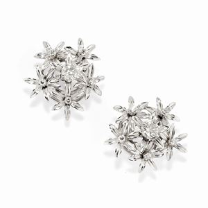 Orecchini con diamanti