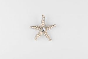 Grande spilla a forma di stella marina
