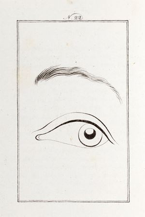 Physonomic rules or observations on some characteristic features and on the relationship of the physiognomy of the human race with that of the brutes