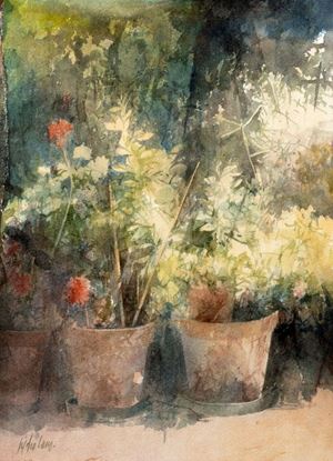 Cano Pedro - Hortus
