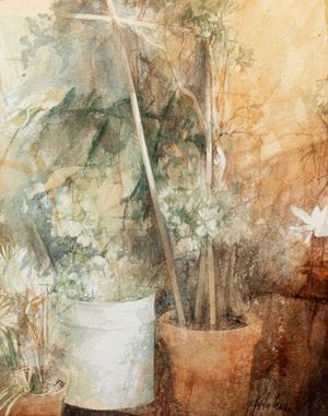 Cano Pedro - Hortus 1