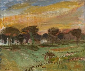 Tramonto sulla pineta