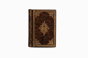 Historical information about the public professors in the Studio of Padua chosen by the Order of San Domenico