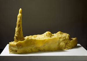 NAve, 1996
colore, cera e gesso, cm 45x1