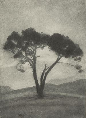 Nuoro: &quot;Su pinu&quot;