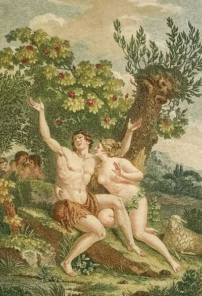 La Mort D'abel, Poeme, Traduit Par Hubert