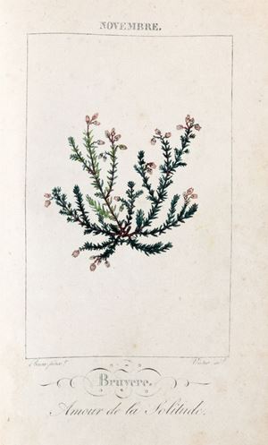 Le Langage des Fleurs
