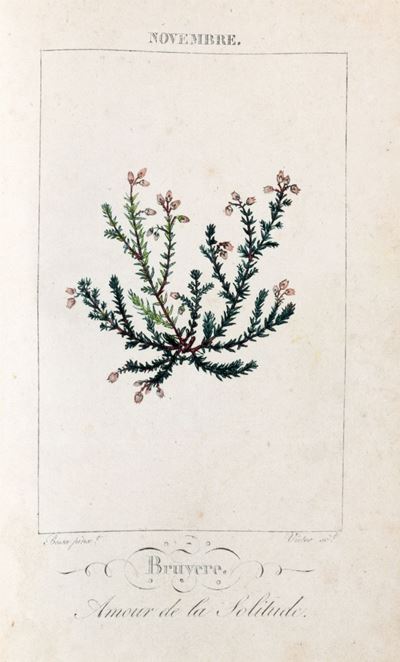 Le Langage Des Fleurs