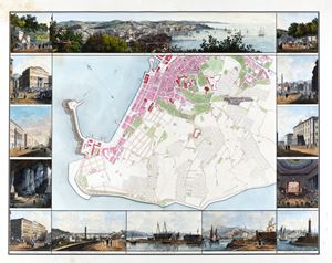Nuova planta della città e porto franco di Trieste