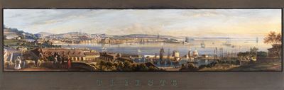 Veduta di Trieste