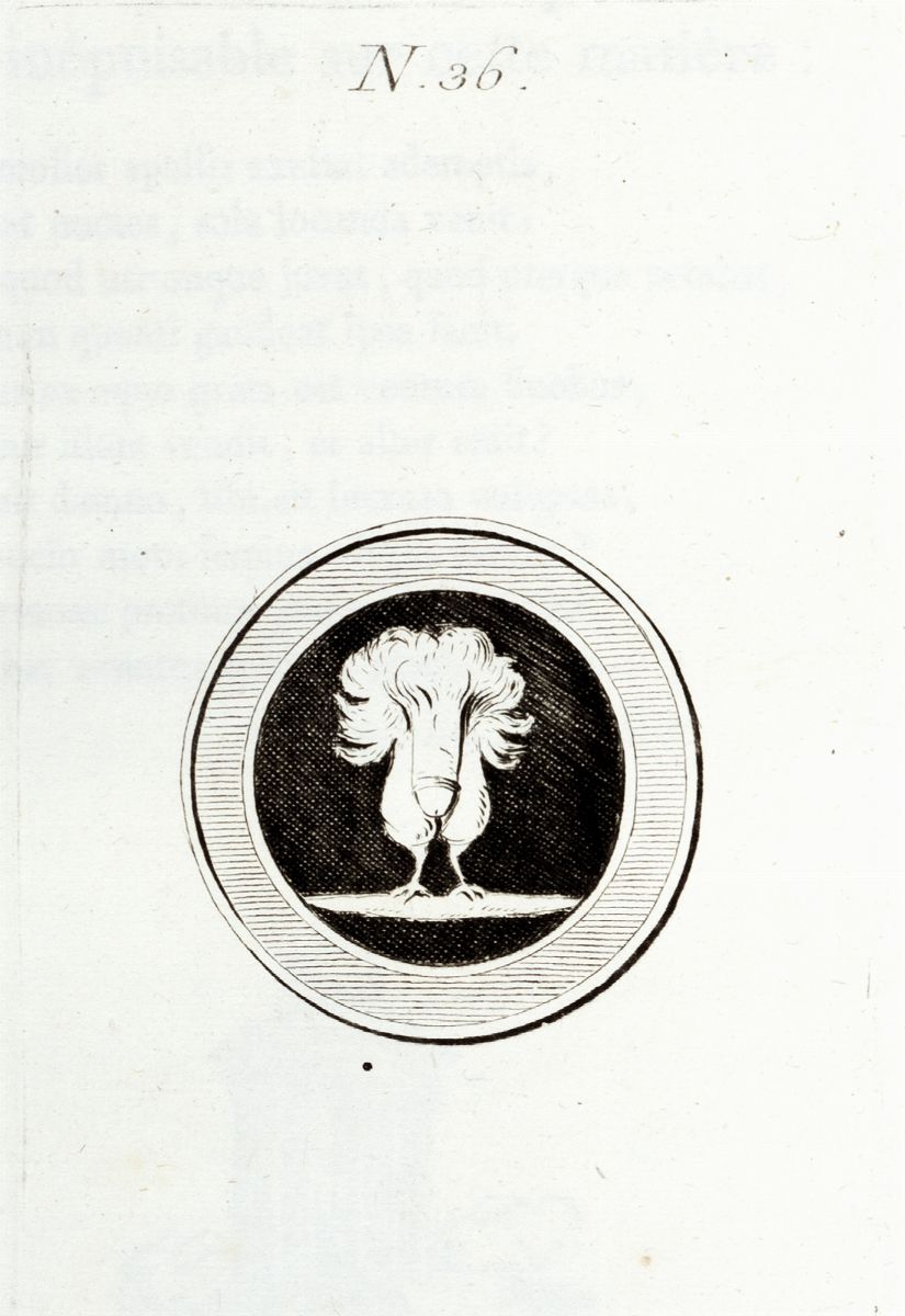 Pierre François Hughes D' Hancarville - Monumens De la Vie Privée Des Douze Cesars. Monumens...