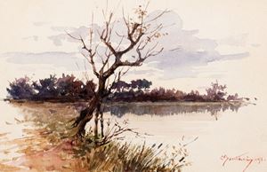 Tree in the swamp