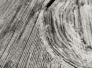 Presa di coscienza sulla natura