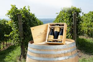 Zenato Verticale Amarone Classico Riserva Sergio Zenato