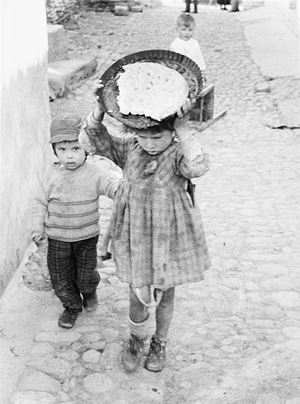 Lucania, 1960