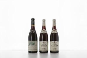Selezione Corton