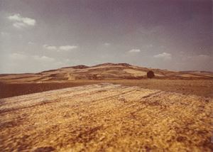 Paesaggio, 1977