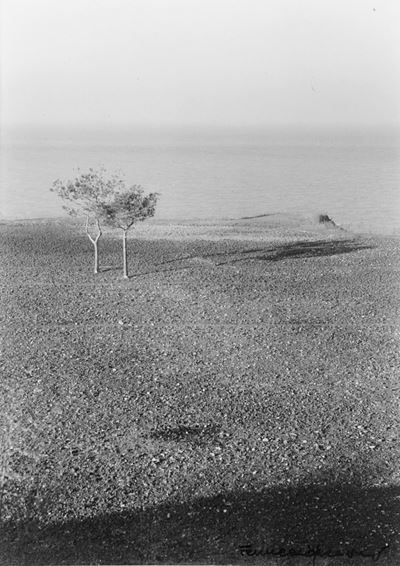 Paesaggio, 1954