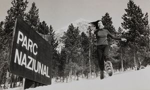 Parco Nazionale dello Stelvio