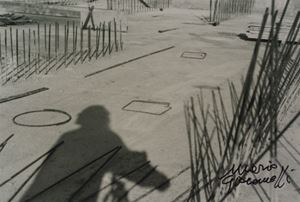 Poesie in cerca d&#39;autore