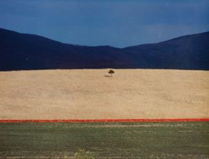 Paesaggio, 1990

Vintage C-print

30 x 4