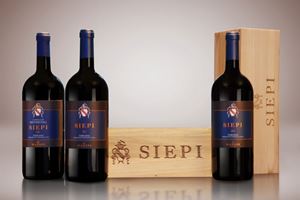Verticale Mazzei Siepi Magnum