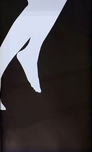 Passo Sopra -  La Dimensione del Cormorano