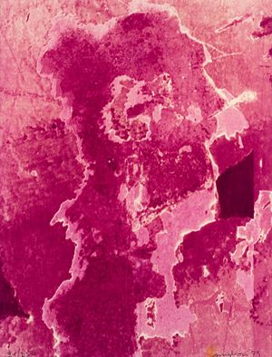 Senza titolo (Ossidazioni), 1973