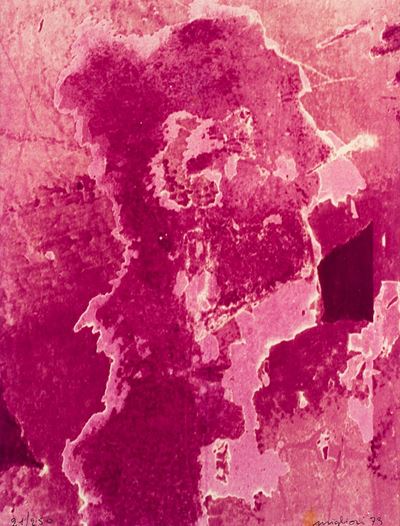 Senza Titolo (ossidazioni), 1973