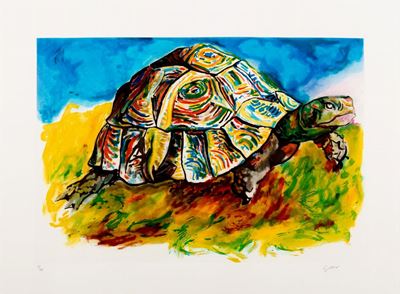 Tartaruga