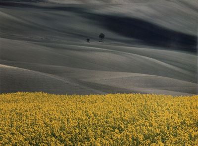 Paesaggio, 1990 - Vintage C-print