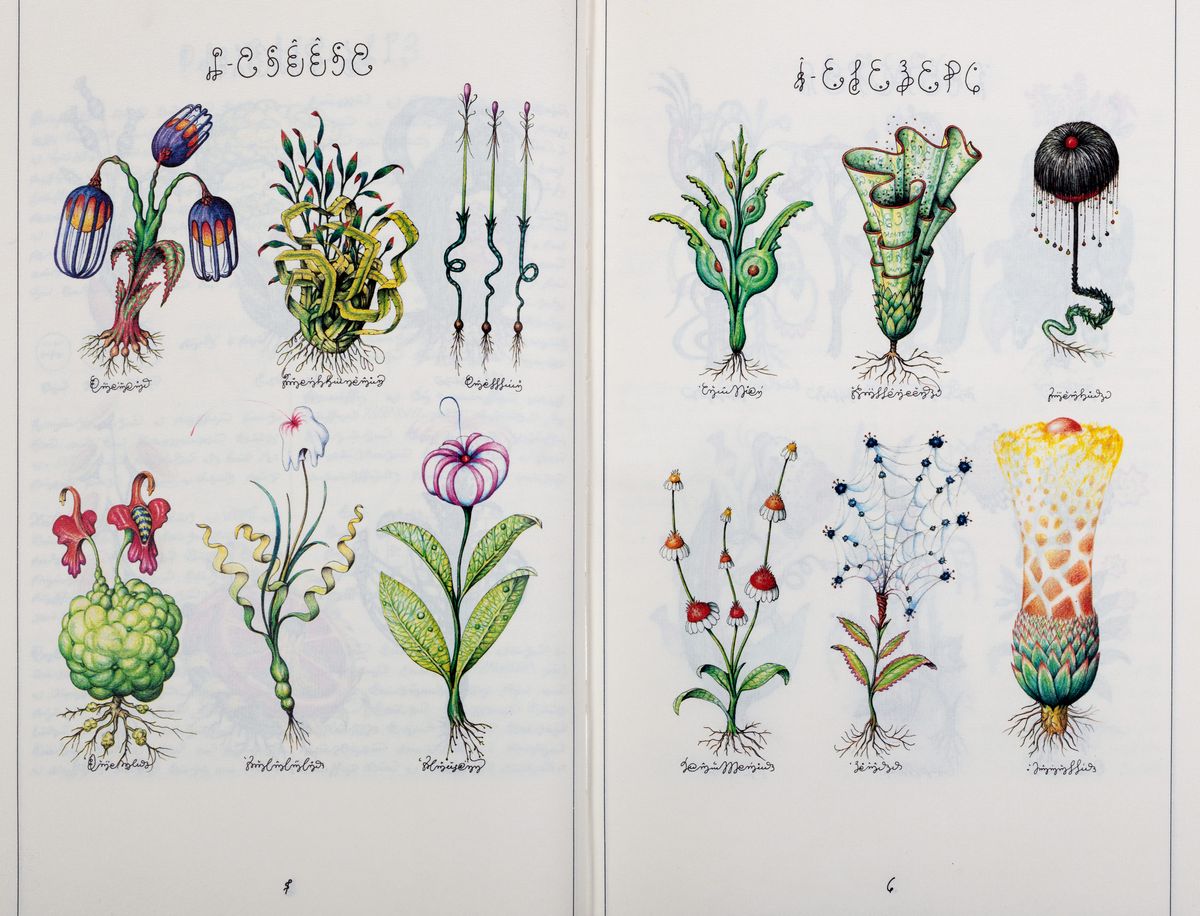 Ricci, Franco Maria / Serafini, Luigi - Codex Seraphinianus 1981 ...