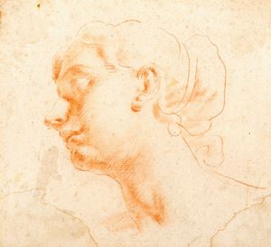 Studio per testa di donna di profilo